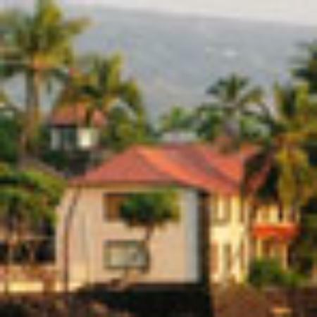 Mediterranean Falafel